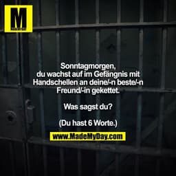 Sonntagmorgen, du wachst auf im Gefängnis mit Handschellen an deine/-n beste/-n Freund/-in gekettet.

Was sagst du?

(Du