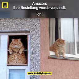 Amazon:
Ihre Bestellung wurde versandt.
Ich: