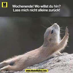 Wochenende! Wo willst du hin? Lass mich nicht alleine zurück!