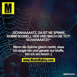 „SCHAHAAAATZ, DA IST NE SPINNE, KOMM SCHNELL HER UND MACH DIE TOT! SCHAHAAATZ!!“

Wenn die Spinne gleich merkt, dass ich
