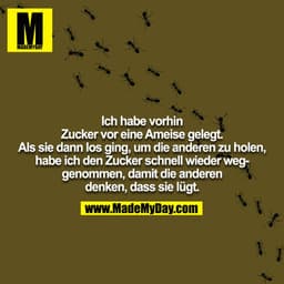 Ich habe vorhin Zucker vor eine Ameise gelegt. Als sie dann los ging, um die anderen zu holen, habe ich den Zucker schne