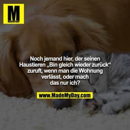 Noch jemand hier, der seinen Haustieren „Bin gleich wieder zurück“ zuruft, wenn man die Wohnung verlässt, oder mach
das 