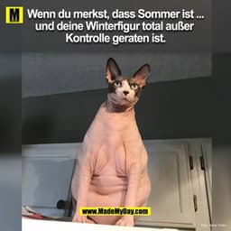 Wenn du merkst, dass Sommer ist ... und deine Winterfigur total außer Kontrolle geraten ist.