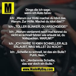 Dinge die ich sage, wenn ich Auto fahre:
 
Ich: „Warum zur Hölle machst du Idiot das. Warum. Zur Hölle. Machst du Idiot 