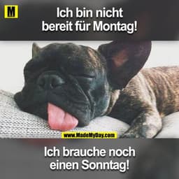 Ich bin nicht bereit für Montag!
Ich brauche noch einen Sonntag!