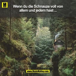 Wenn du die Schnauze voll von allem und jedem hast ...