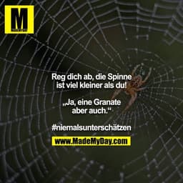 Reg dich ab, die Spinne ist viel kleiner als du!

,,Ja, eine Granate aber auch.“

#niemalsunterschätzen