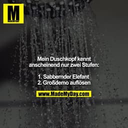Mein Duschkopf kennt anscheinend nur zwei Stufen:

1. Sabbernder Elefant 
2. Großdemo auflösen