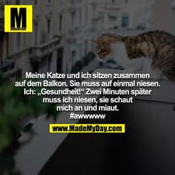 Meine Katze und ich sitzen zusammen auf dem Balkon. Sie muss auf einmal niesen. Ich: „Gesundheit!“ Zwei Minuten später m