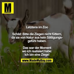 Letztens im Zoo

Schild: Bitte die Ziegen nicht füttern, da sie von Natur aus kein Sättigungsgefühl haben.
 
Das war der