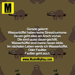 Gerade gelernt: Wasserbüffel haben keine Stresshormone. Denen geht alles am Arsch vorbei. Die sind quasi dauer-gechillt.