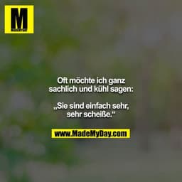 Oft möchte ich ganz sachlich und kühl sagen:

„Sie sind einfach sehr, sehr scheiße.“