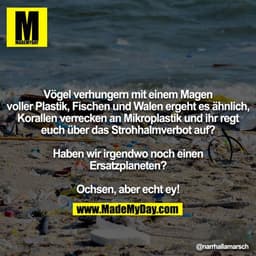 Vögel verhungern mit einem Magen voller Plastik, Fischen und Walen ergeht es ähnlich, Korallen verrecken an Mikroplastik