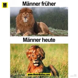 Männer früher
Männer heute
Foto:
Jordan Carter