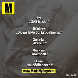 Hirn: „DAS ist sie!“

Rücken: „Die perfekte Schlafpostion, ja.“

Gelenke: „Absolut.“

Musklen: „Traumhaft.“

Blase: „Hal
