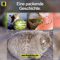 Eine packende Geschichte:
