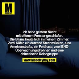 Ich habe gestern Nacht mit offenem Fenster geschlafen. Die Bilanz heute früh in meinem Zimmer: Zwei Käfer, ein dutzend S