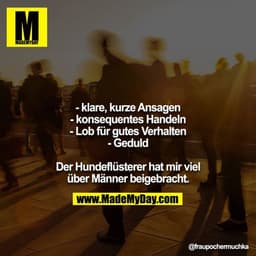 - klare, kurze Ansagen
- konsequentes Handeln
- Lob für gutes Verhalten
- Geduld

Der Hundeflüsterer hat mir viel über M