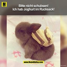 Bitte nicht schubsen! Ich hab nen Joghurt im Rucksack!