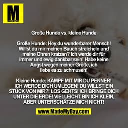 Große Hunde vs. kleine Hunde

Große Hunde: Hey du wunderbarer Mensch! Willst du mir meinen Bauch streicheln und meine Oh