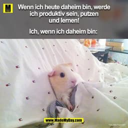 Wenn ich heute daheim bin, werde ich produktiv sein, putzen und lernen! Ich, wenn ich daheim bin: 