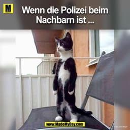 Wenn die Polizei beim
Nachbarn ist ...
s Mayor