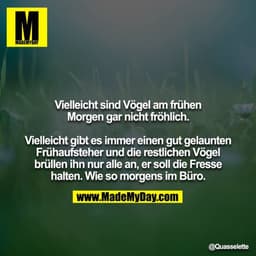 Vielleicht sind Vögel am frühen Morgen gar nicht fröhlich.

Vielleicht gibt es immer einen gut gelaunten Frühaufsteher u