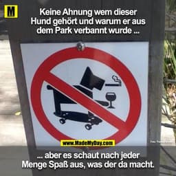 Keine Ahnung wem dieser Hund gehört und warum er aus dem Park verbannt wurde ...
... aber es schaut nach jeder Menge Spa