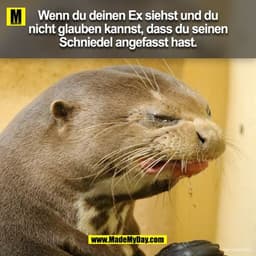 Wenn du deinen Ex siehst und du nicht glauben kannst, dass du seinen Schniedel angefasst hast.