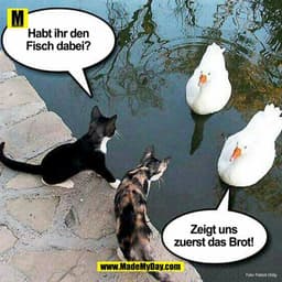 Habt ihr den Fisch dabei!?

Zeigt uns zuerst das Brot!