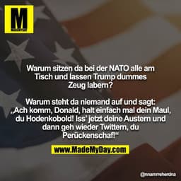 Warum sitzen da bei der NATO alle am Tisch und lassen Trump dummes Zeug labern?

Warum steht da niemand auf und sagt: „A