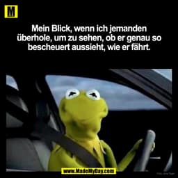 Mein Blick, wenn ich jemanden
überhole, um zu sehen, ob er genau so
bescheuert aussieht, wie er fährt.
Foto: Jens Teger