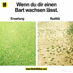 Wenn du dir einen Bart wachsen lässt ...
