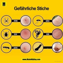 Gefährliche Stiche:

