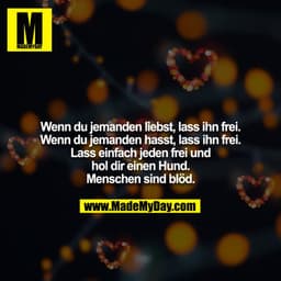 Wenn du jemanden liebst, lass ihn frei. Wenn du jemanden hasst, lass ihn frei. Lass einfach jeden frei und hol dir einen