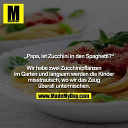 „Papa, ist Zucchini in den Spaghetti?“

Wir habe zwei Zucchinipflanzen im Garten und langsam werden die Kinder misstraui