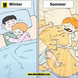 Winter Sommer
