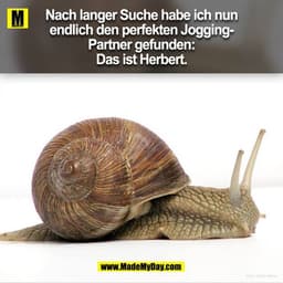 Nach langer Suche habe ich nun endlich den perfekten Jogging-Partner gefunden: Das ist Herbert.