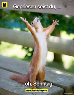 Gepriesen seist du, ...
... oh, Sonntag!