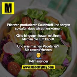 Pflanzen produzieren Sauerstoff und sorgen so dafür, dass wir atmen können.

Kühe hingegen furzen mit ihrem Methan die L
