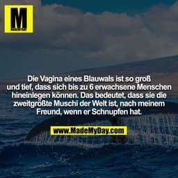 Die Vagina eines Blauwals ist so groß und tief, dass sich bis zu 6 erwachsene Menschen hineinlegen können. Das bedeutet,