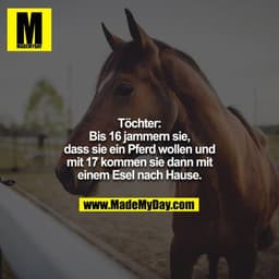 Töchter:
Bis 16 jammern sie, dass sie ein Pferd wollen und mit 17 kommen sie dann mit einem Esel nach Hause.