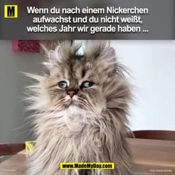 Wenn du nach einem Nickerchen
aufwachst und du nicht weißt,
welches Jahr wir gerade haben ...
Foto: Svenja Schulle