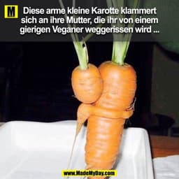 Diese arme kleine Karotte klammert
sich an ihre Mutter, die ihr von einem
gierigen Veganer weggerissen wird ...