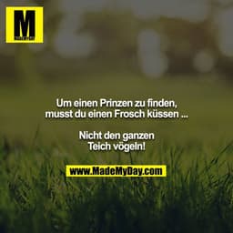 Um einen Prinzen zu finden, musst du einen Frosch küssen ...

Nicht den ganzen Teich vögeln!
