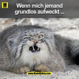 Wenn mich jemand
grundlos aufweckt...