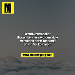 Wenn Arschlöcher fliegen könnten, würden viele Menschen ohne Treibstoff an ihr Ziel kommen!