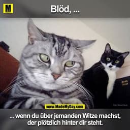 Blöd, ...
Foto: Marcel Deutz
... wenn du über jemanden Witze machst,
der plötzlich hinter dir steht.
