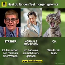 Hast du für den Test morgen gelernt?
NORMALE
ICH
STREBER
MENSCHEN
Ich lern schon
Was für ein
Ich habs mir
einmal durchse