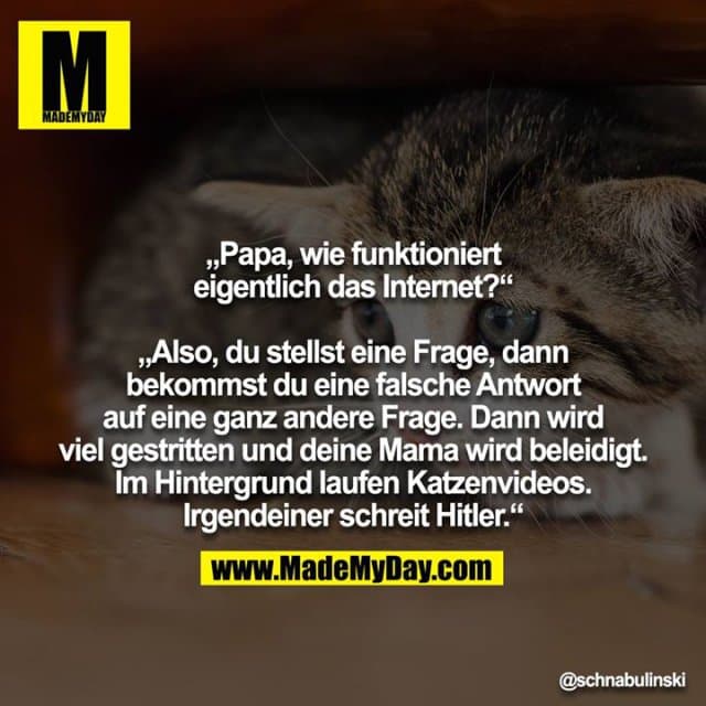 „Papa, wie funktioniert eigentlich das Internet?“
„Also, du stellst eine Frage, dann bekommst du eine falsche Antwort auf eine ganz andere Frage. Dann wird viel gestritten und deine Mama wird beleidigt. Im Hintergrund laufen Katzenvideos. Irgendeiner schreit Hitler.“ - Inspiration, Zitate & Sprüche | MadeMyDay | Jetzt entdecken & teilen „Papa, wie funktioniert eigentlich das Internet?“
„Also, du stellst eine Frage, dann bekommst du eine falsche Antwort auf eine ganz andere Frage. Dann wird viel gestritten und deine Mama wird beleidigt. Im Hintergrund laufen Katzenvideos. Irgendeiner schreit Hitler.“ - Inspirierendes Zitat mit Bild
